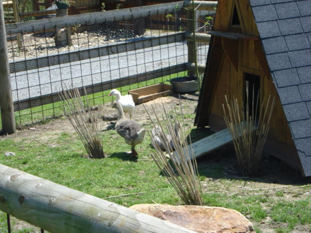 Camping Saint Michel Courtils Εξωτερικό φωτογραφία